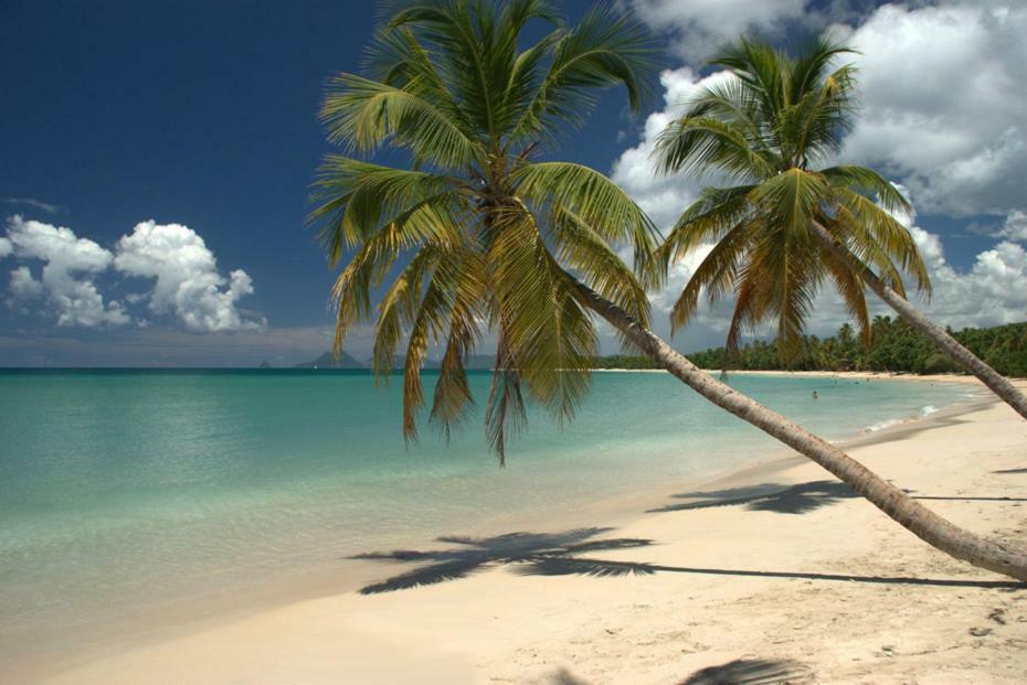 Holidays In Martinique - Ravenala Sainte-Anne Kültér fotó