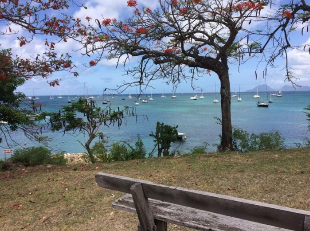 Holidays In Martinique - Ravenala Sainte-Anne Kültér fotó